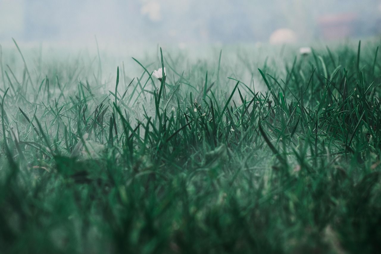 morgendliche übelkeit: ursachen, symptome und tipps zur linderung. erfahren sie alles über die häufigsten beschwerden in der frühen schwangerschaft und wie sie sich angenehm fühlen können.