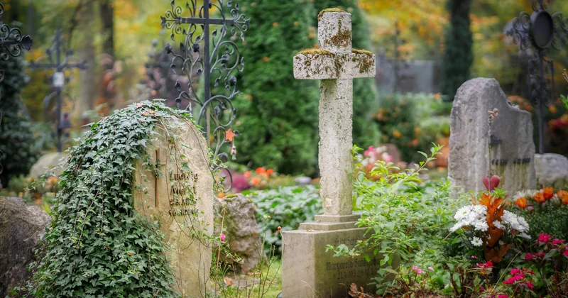 Sowjetisches Ehrenmal: Mehr als nur ein Denkmal