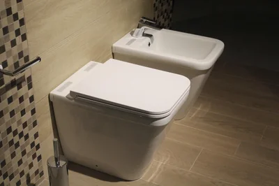toilette