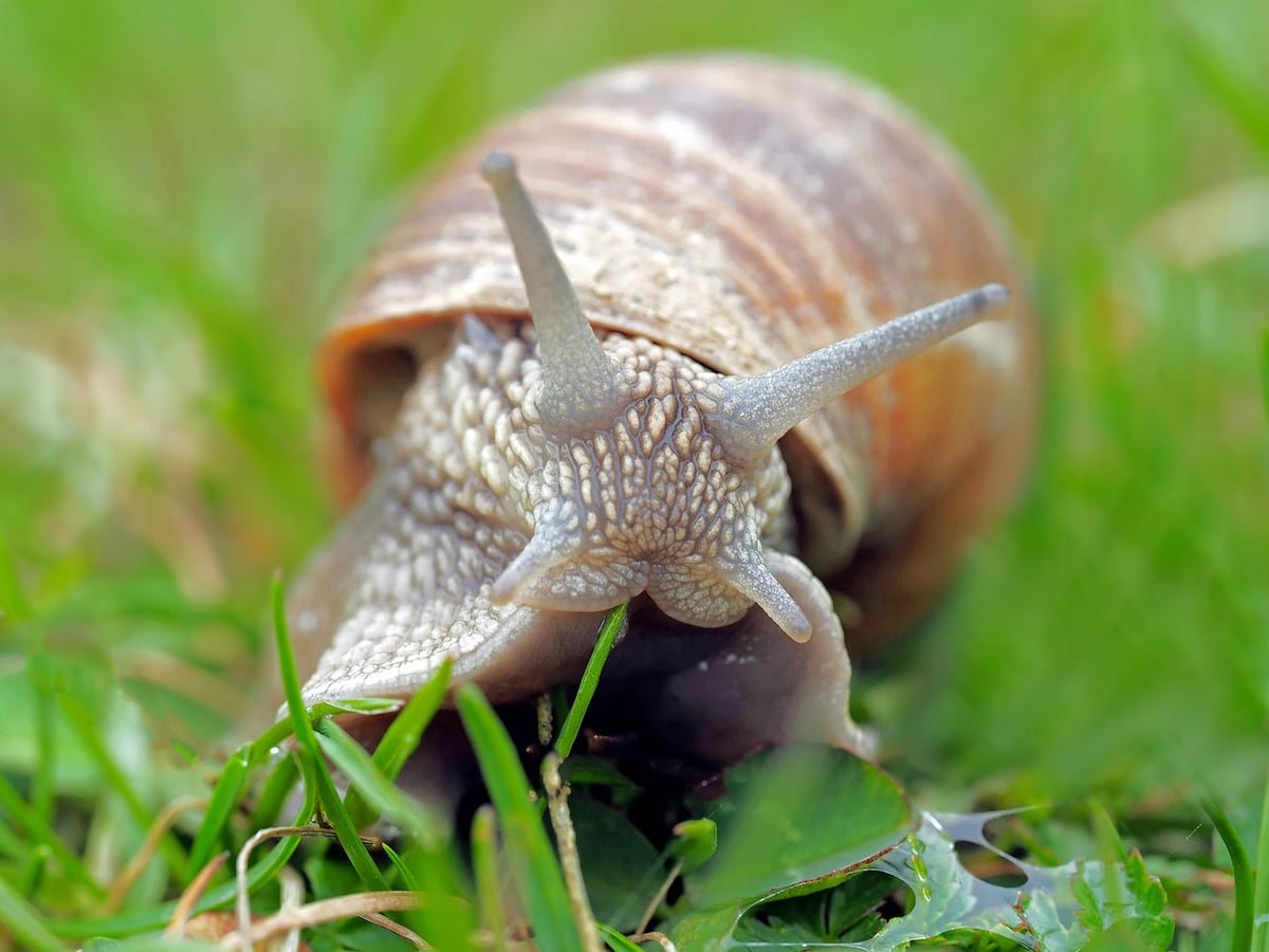 Wann kann mein Baby anfangen zu krabbeln?