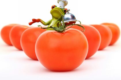 bereiten sie sich optimal auf die geburt vor mit unseren umfassenden informationen und tipps zur geburtvorbereitung. erfahren sie alles über geburtsmethoden, atemtechniken und unterstützung für werdende eltern.