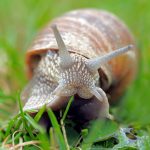 entdecken sie die welt des crawlens: tipps, techniken und informationen, um ihre fähigkeiten im schwimmen zu verbessern und ihr training zu optimieren. perfekt für anfänger und fortgeschrittene!