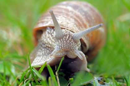entdecken sie die welt des crawlens: tipps, techniken und informationen, um ihre fähigkeiten im schwimmen zu verbessern und ihr training zu optimieren. perfekt für anfänger und fortgeschrittene!