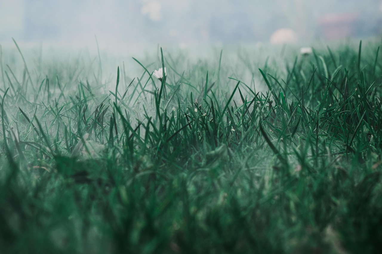 morgendliche übelkeit: ursachen, symptome und tipps zur linderung. erfahren sie alles über die häufigsten beschwerden in der frühen schwangerschaft und wie sie sich angenehm fühlen können.