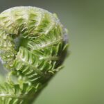 praktische baby-tipps für junge eltern: pflege, ernährung und entwicklung ihres babys leicht gemacht.