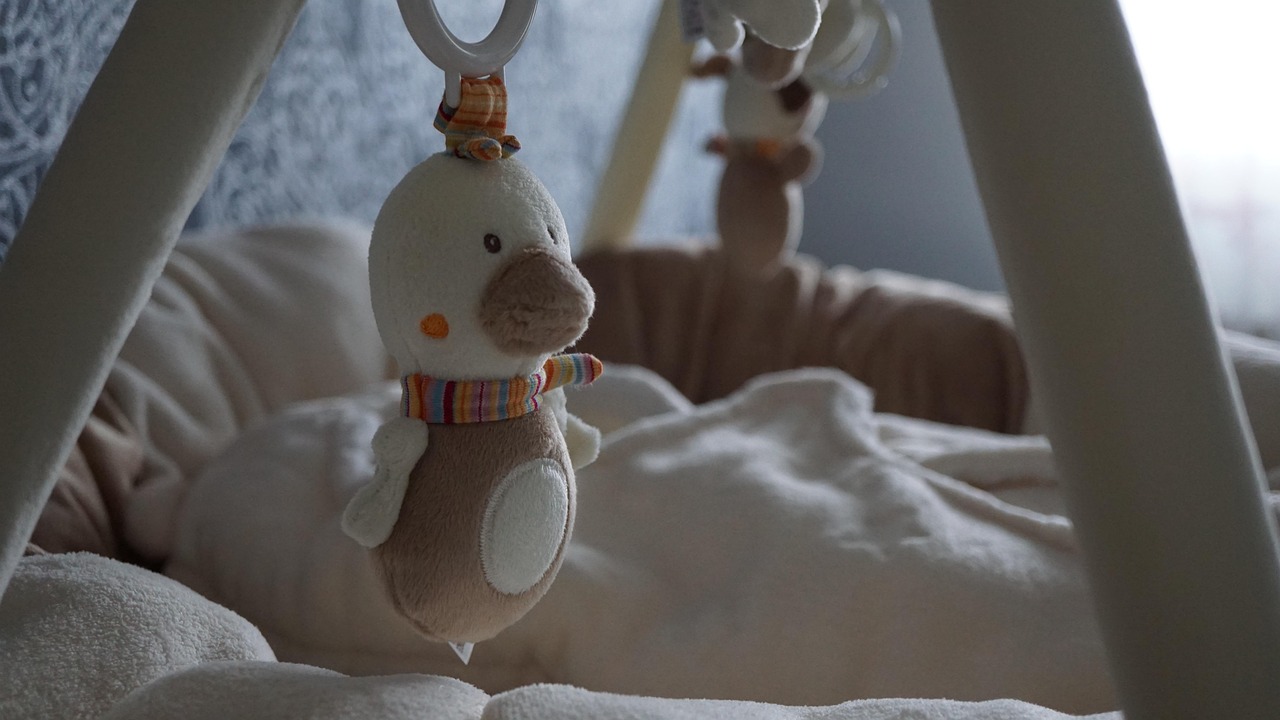 entdecken sie hochwertiges babyzubehör für sicheren und komfortablen alltag. alles, was sie für ihr baby brauchen, finden sie bei uns.