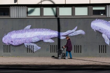 entdecken sie unsere vielf&auml;ltige auswahl an kinderwagen &ndash; komfortabel, sicher und stilvoll f&uuml;r ihr baby.