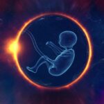 entdecken sie die wichtigsten meilensteine der babyentwicklung von der geburt bis zum kleinkindalter. tipps und ratschl&auml;ge f&uuml;r eltern, um das wachstum und die entwicklung ihres babys optimal zu unterst&uuml;tzen.