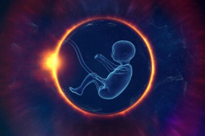 entdecken sie die wichtigsten meilensteine der babyentwicklung von der geburt bis zum kleinkindalter. tipps und ratschl&auml;ge f&uuml;r eltern, um das wachstum und die entwicklung ihres babys optimal zu unterst&uuml;tzen.