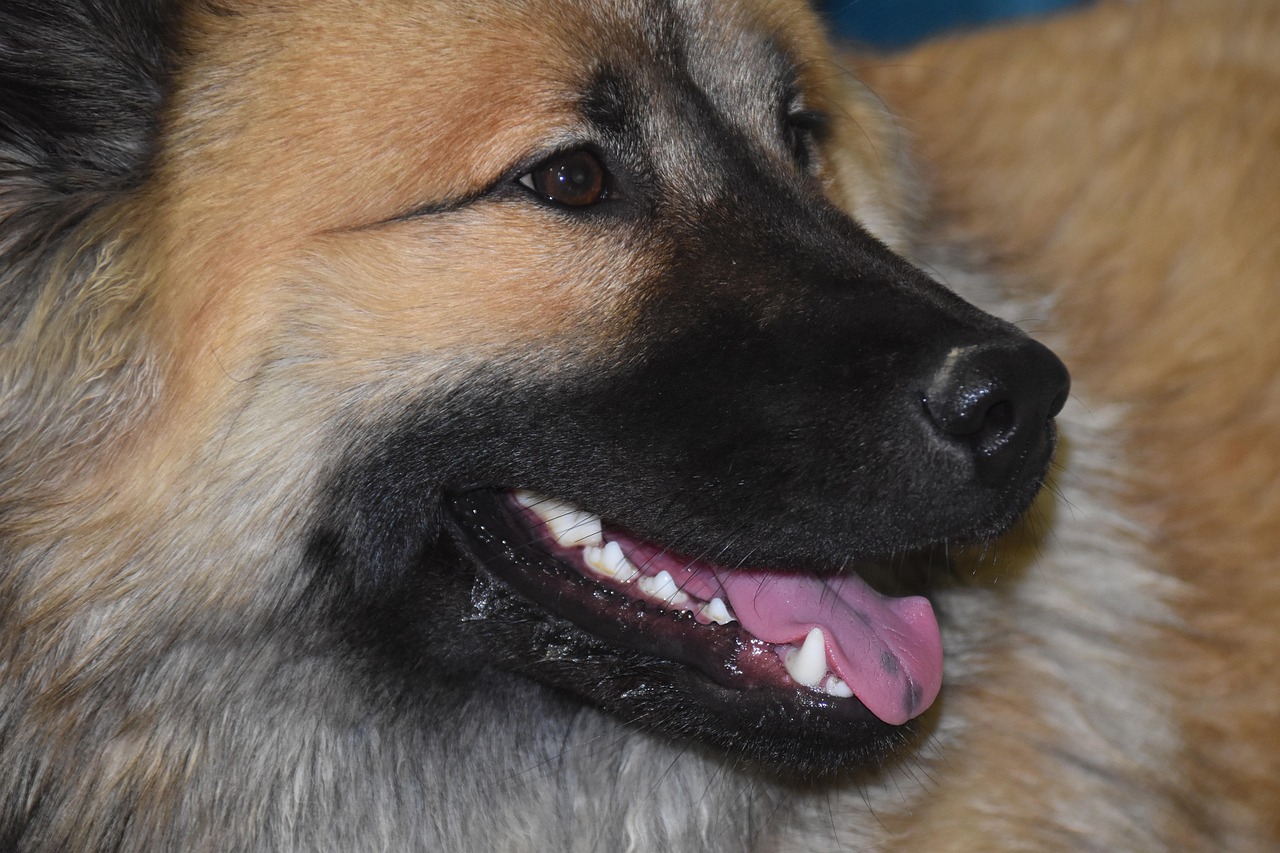 informationen und tipps zum zahnen bei babys: symptome, pflege und linderung von schmerzen während des zahnens.