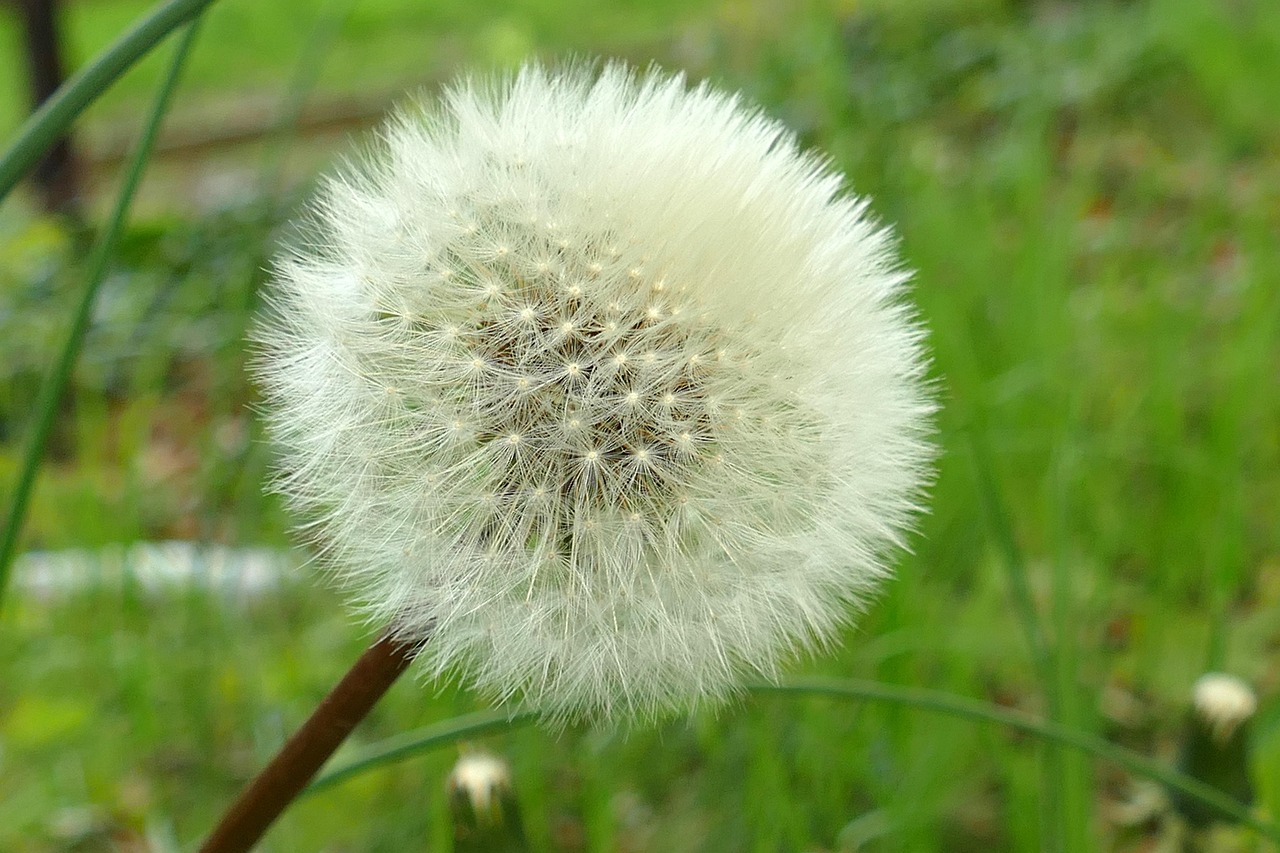verteilung der rollen: effektive zuweisung und organisation von verantwortlichkeiten in teams und projekten.